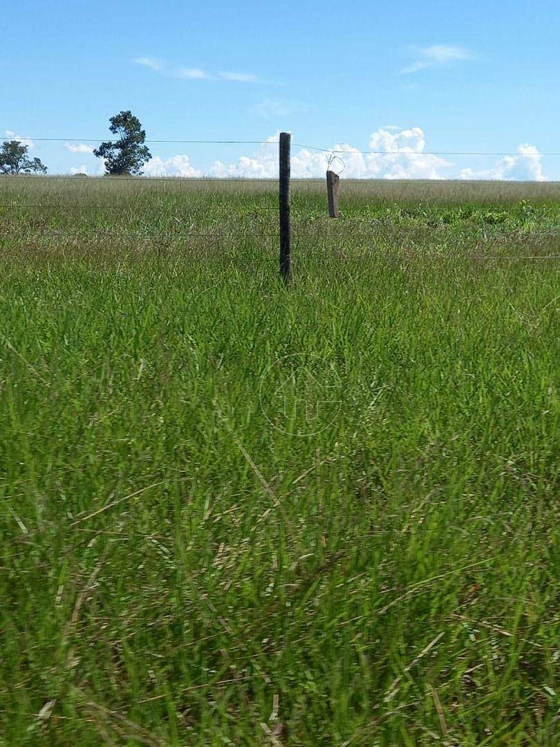 Fazenda à venda, 11610000M2 - Foto 9