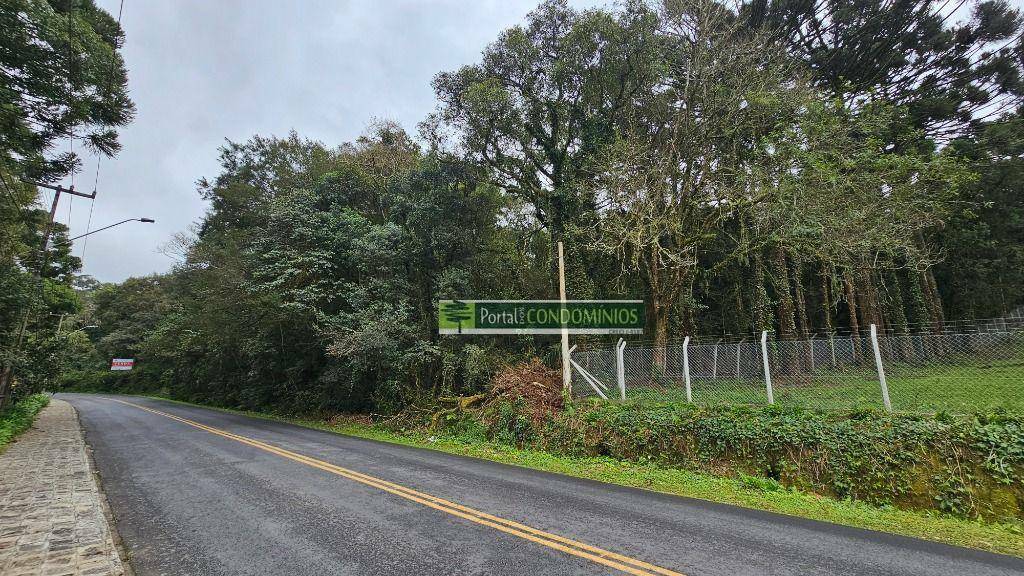 Terreno, 7 hectares - Foto 16