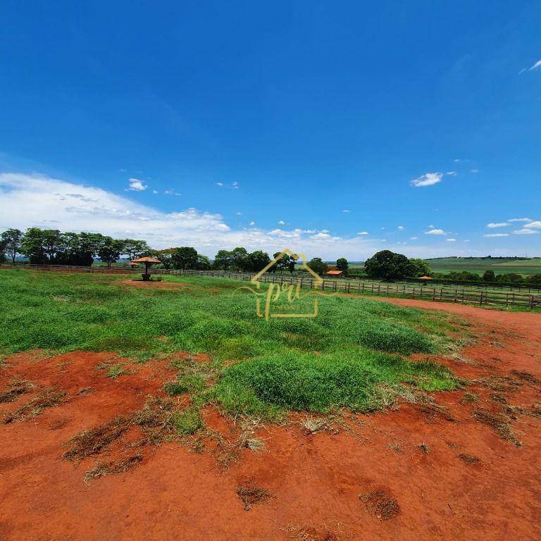 Haras e Área Rural Padrão à venda com 4 quartos, 1000m² - Foto 12