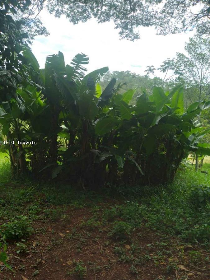 Fazenda à venda com 3 quartos, 6000m² - Foto 8