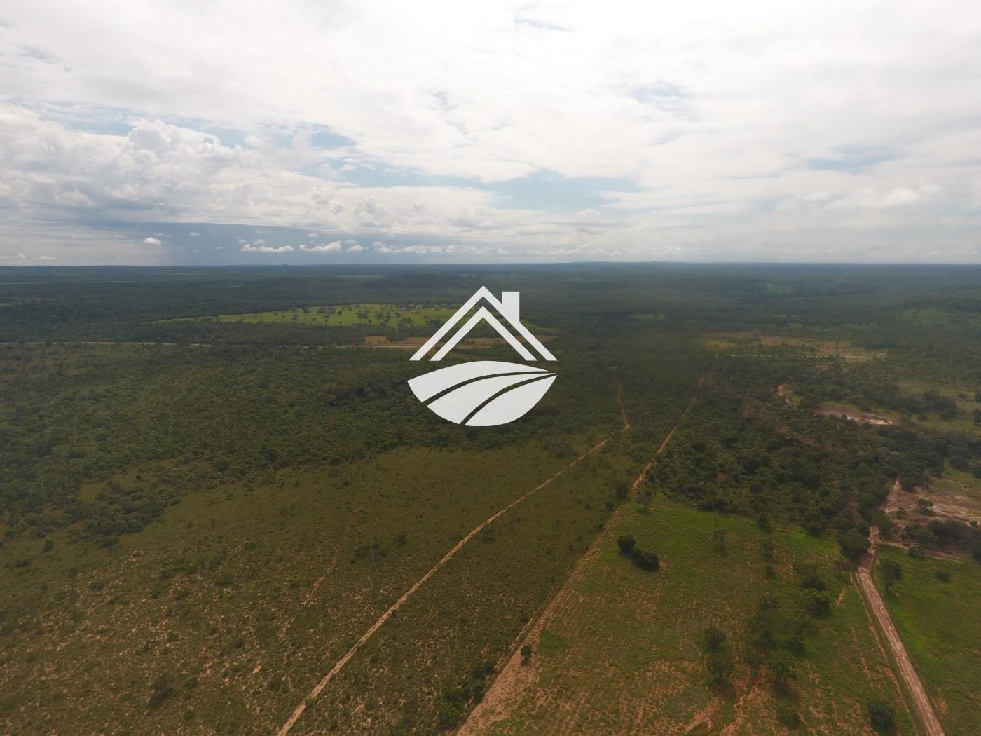 Fazenda à venda, 1m² - Foto 15