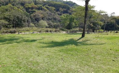 Fazenda à venda com 1 quarto, 240000m² - Foto 10