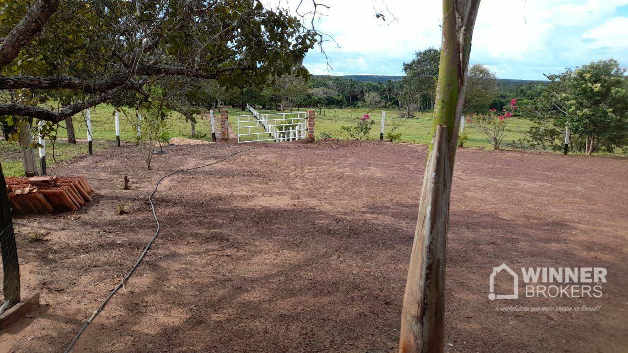 Fazenda à venda com 2 quartos, 4500000M2 - Foto 45