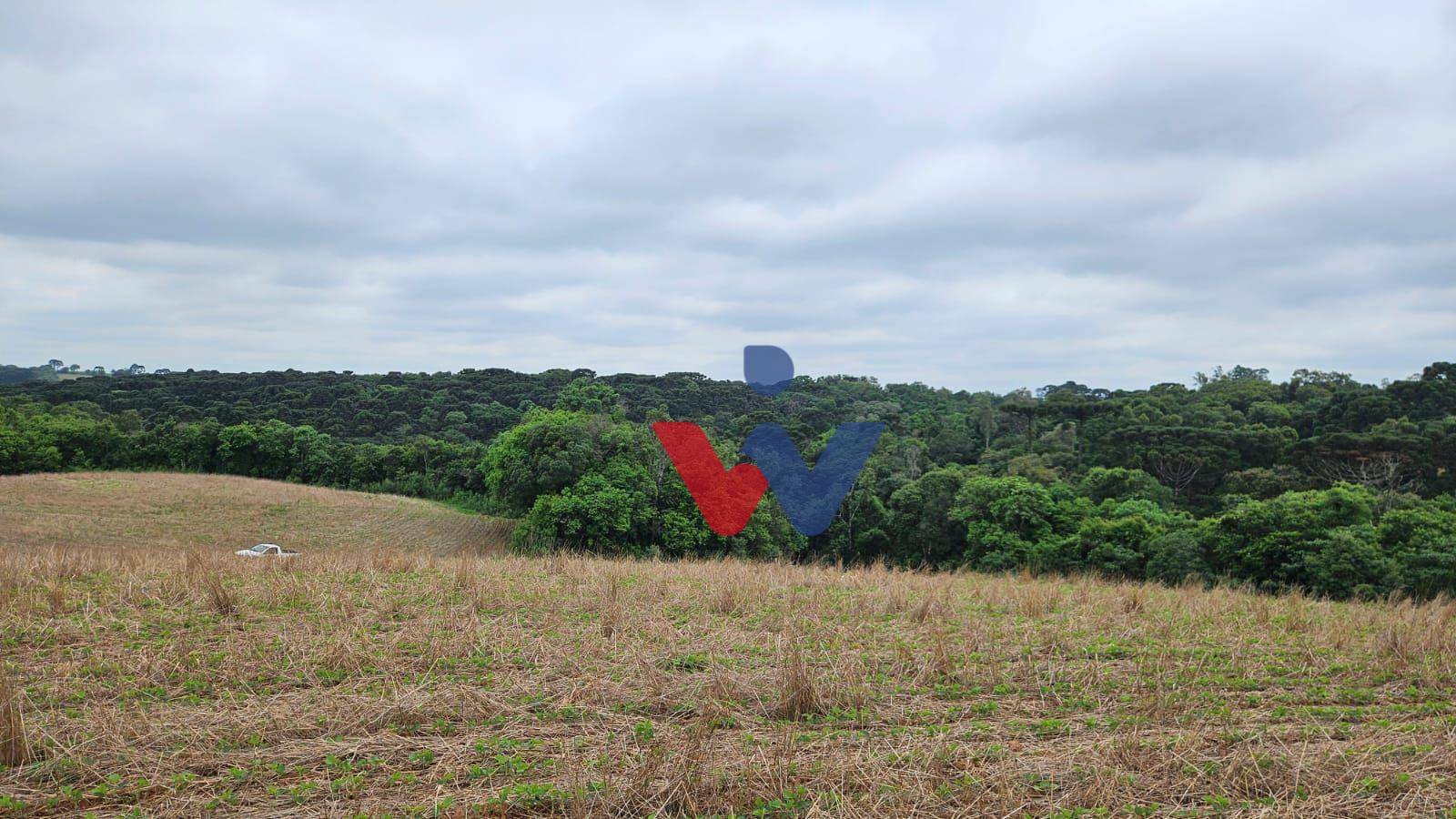 Fazenda à venda com 3 quartos, 1694000M2 - Foto 19