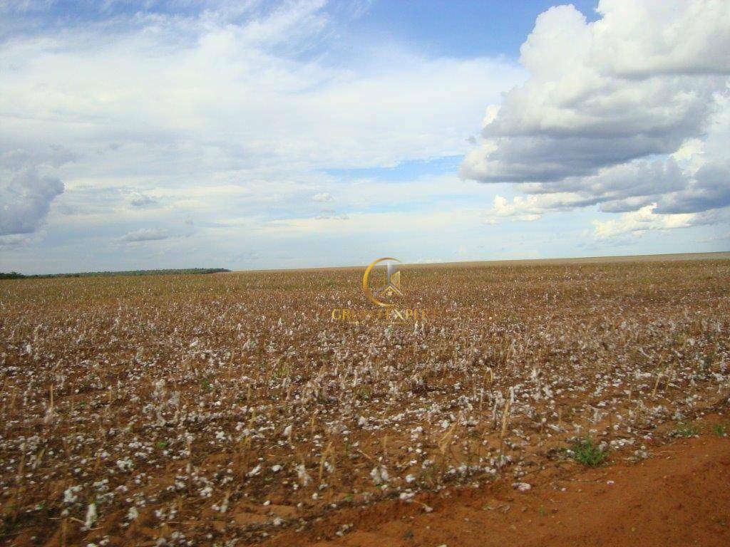 Fazenda à venda com 3 quartos, 159120000M2 - Foto 12