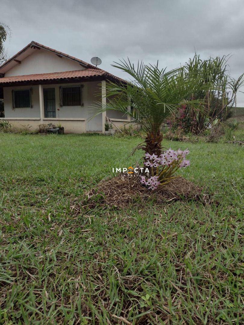 Chácara à venda com 2 quartos, 4000M2 - Foto 6