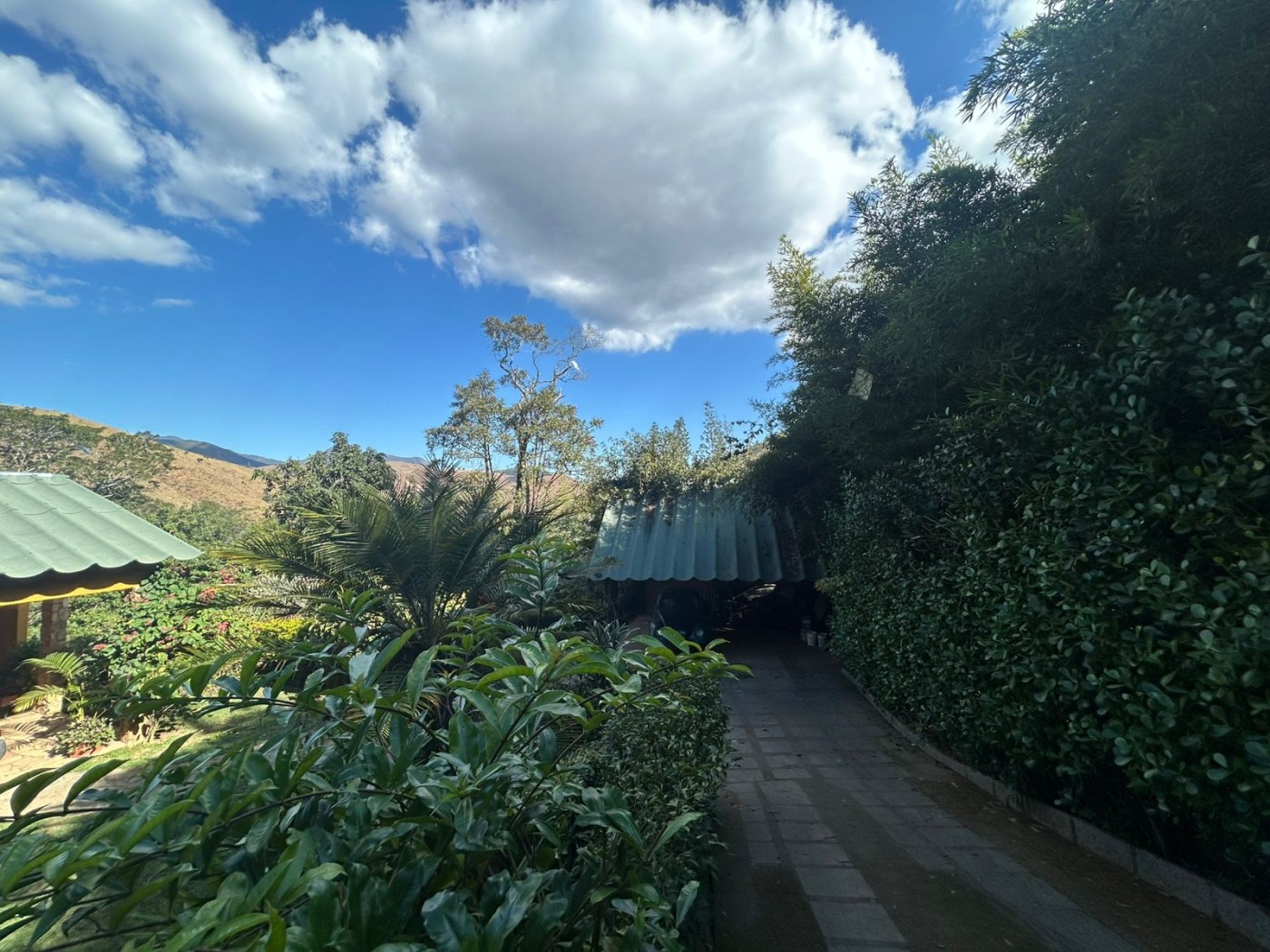 Casa para alugar com 4 quartos, 300m² - Foto 3
