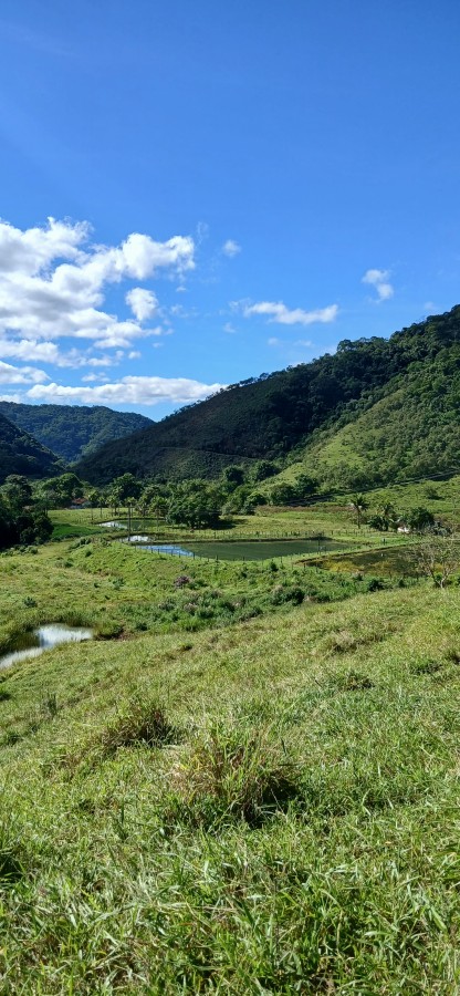 Fazenda à venda com 4 quartos, 257m² - Foto 7