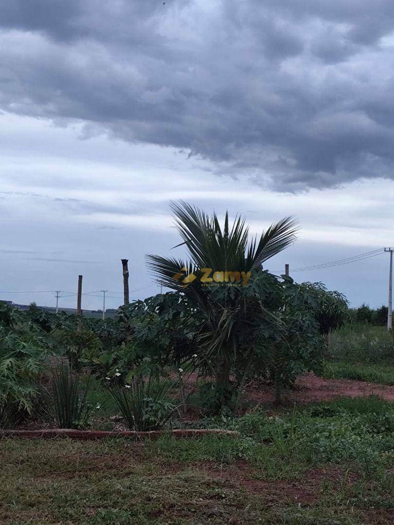 Chácara à venda com 2 quartos, 30000M2 - Foto 16