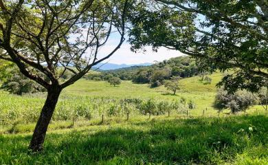 Fazenda à venda com 2 quartos, 210000m² - Foto 19