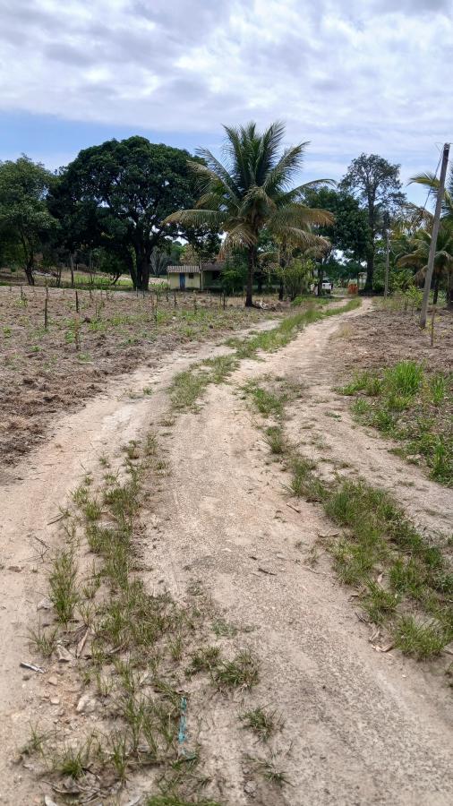 Fazenda à venda com 2 quartos, 31000m² - Foto 23