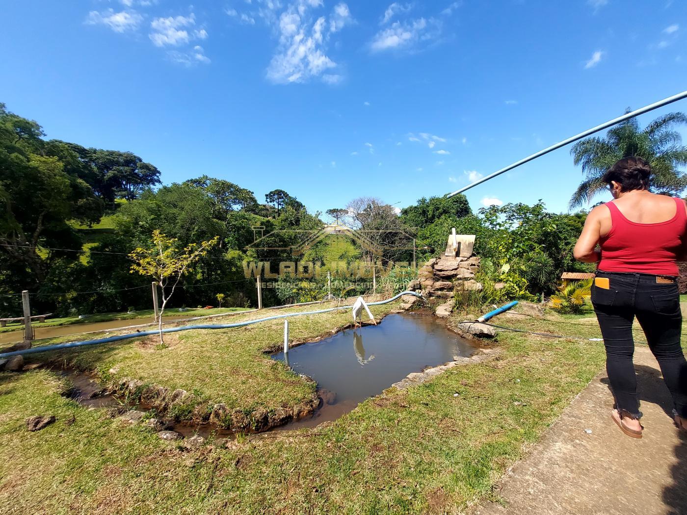 Fazenda à venda com 3 quartos, 30000m² - Foto 10