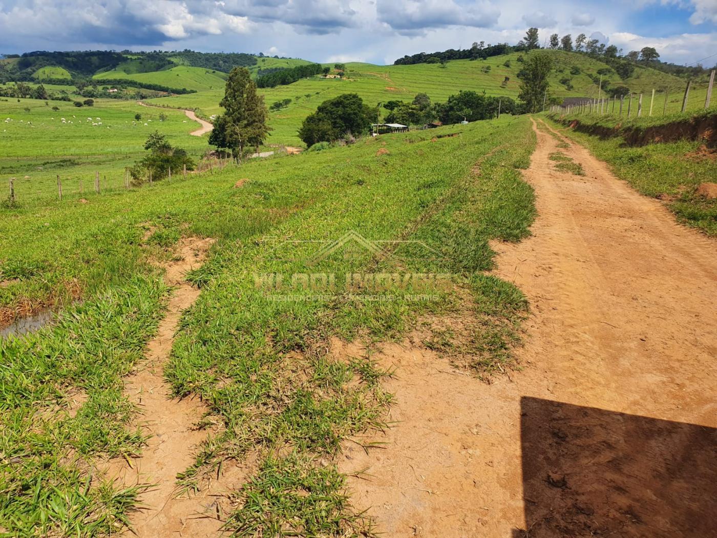 Fazenda à venda, 224m² - Foto 9