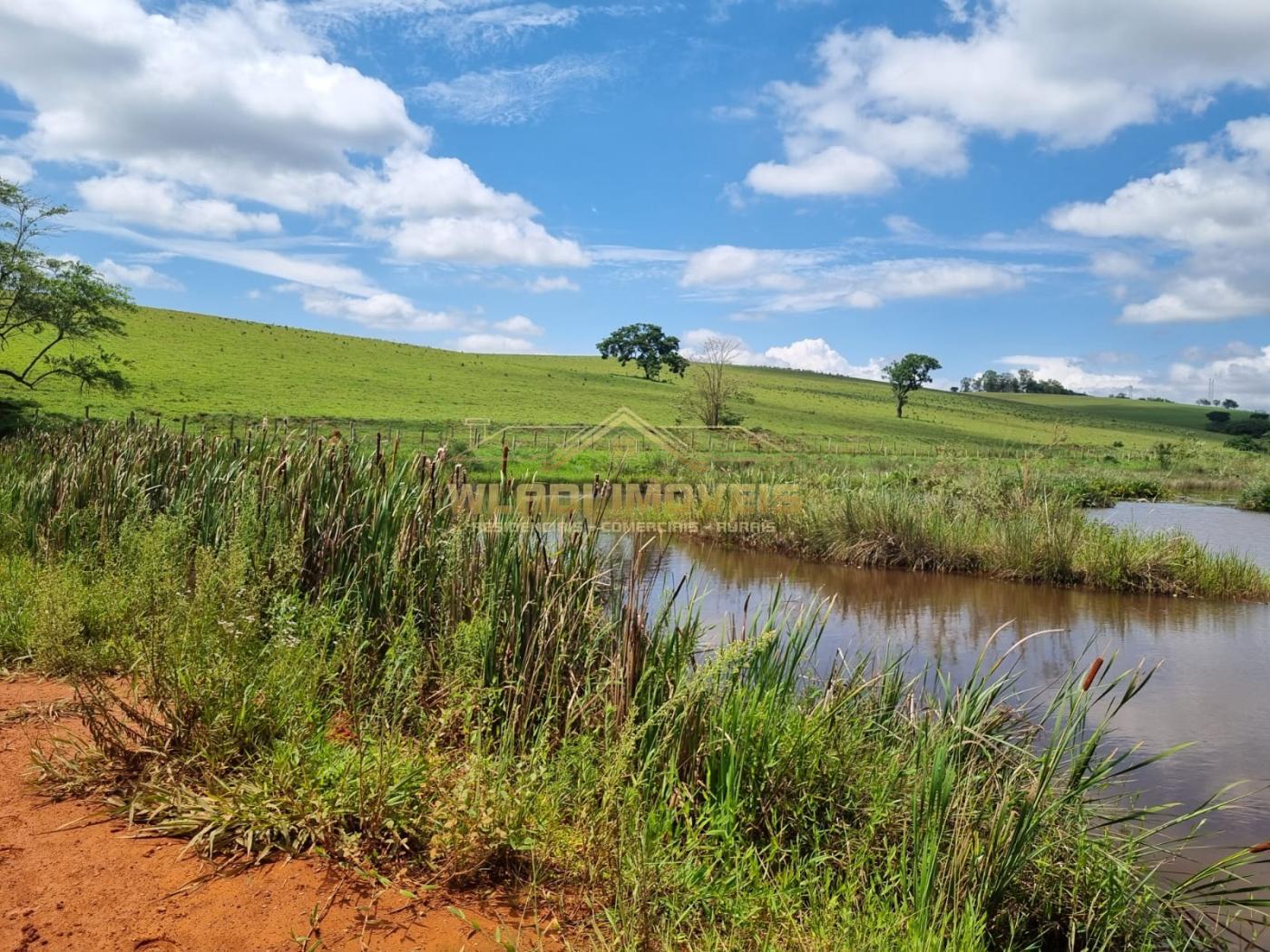 Fazenda à venda, 150m² - Foto 4