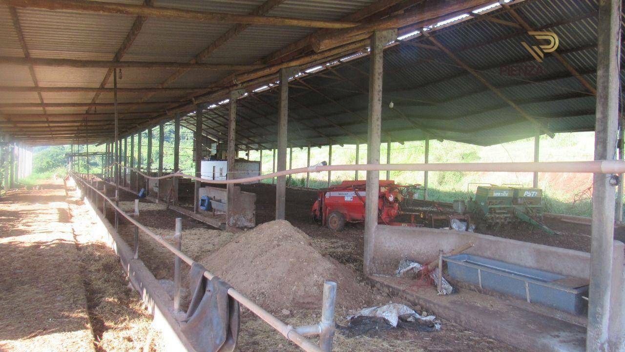 Terreno à venda, 250000M2 - Foto 11