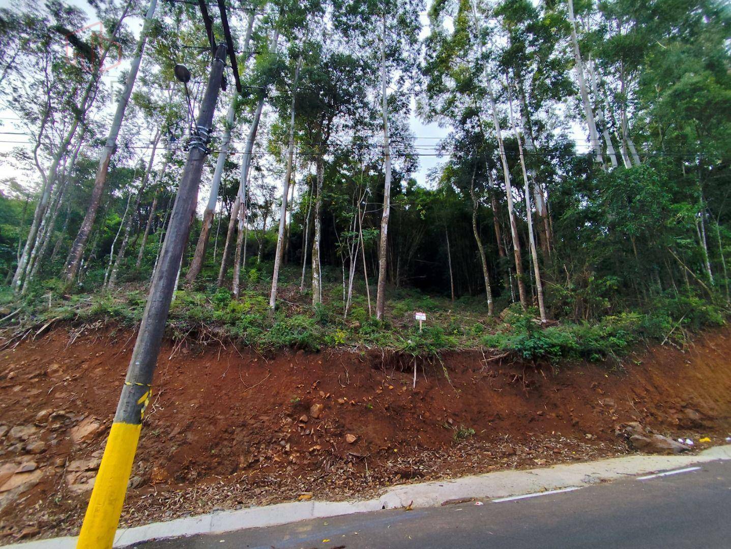 Terreno à venda, 1300M2 - Foto 3