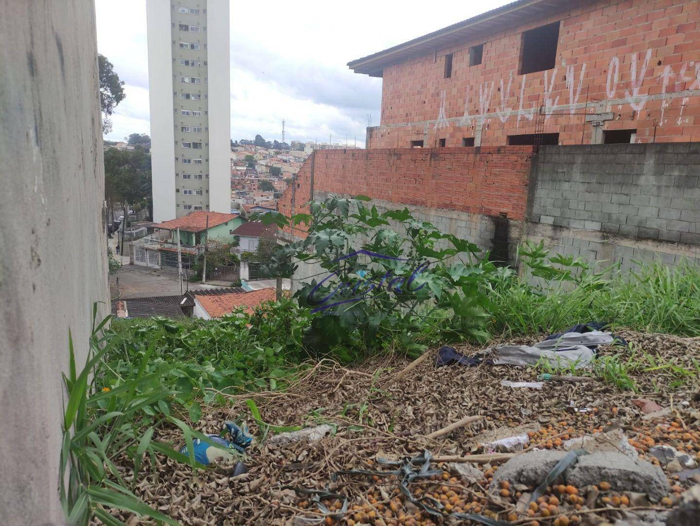 Terreno à venda, 257M2 - Foto 5