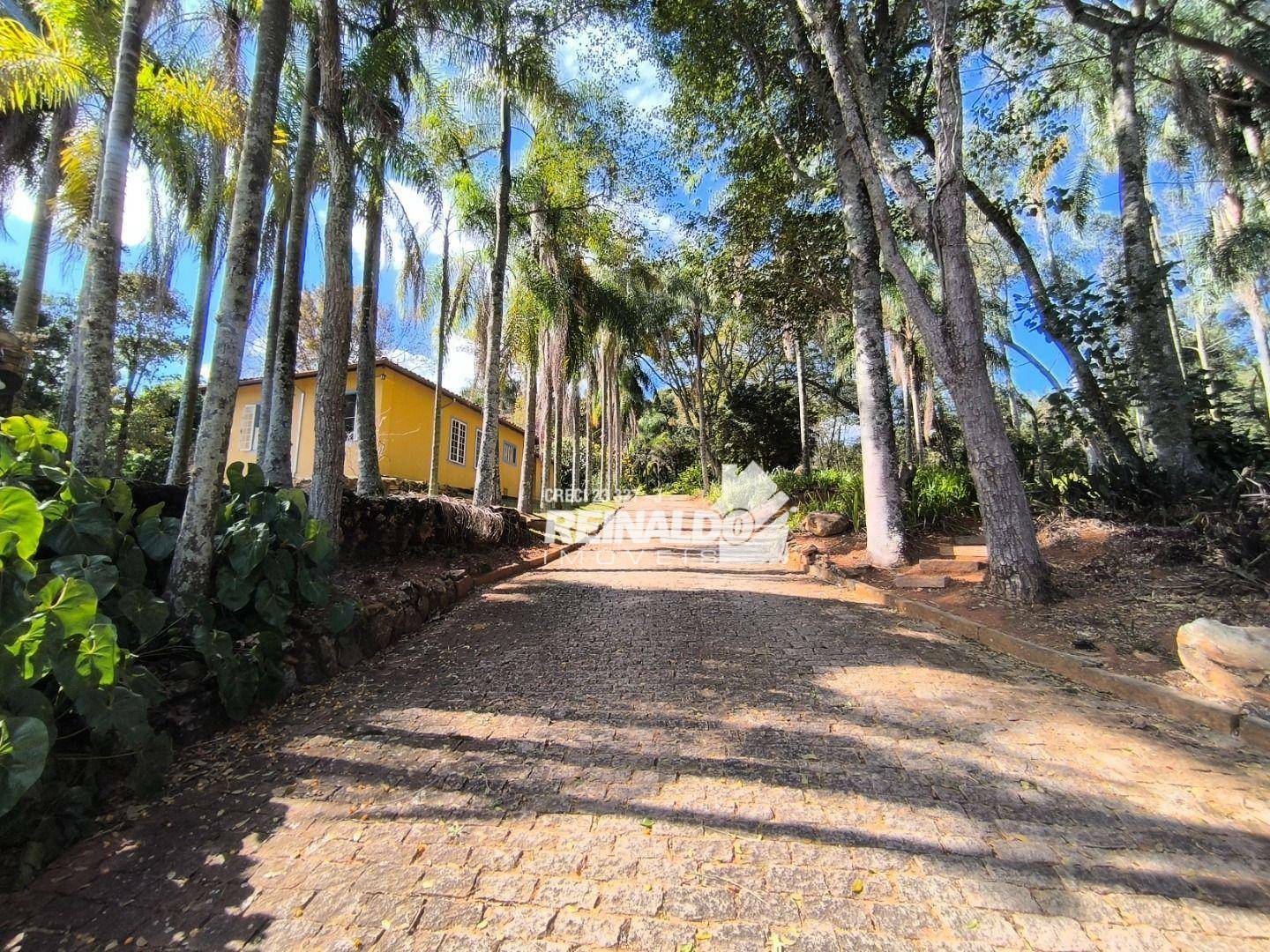 Fazenda à venda com 8 quartos, 2000m² - Foto 100