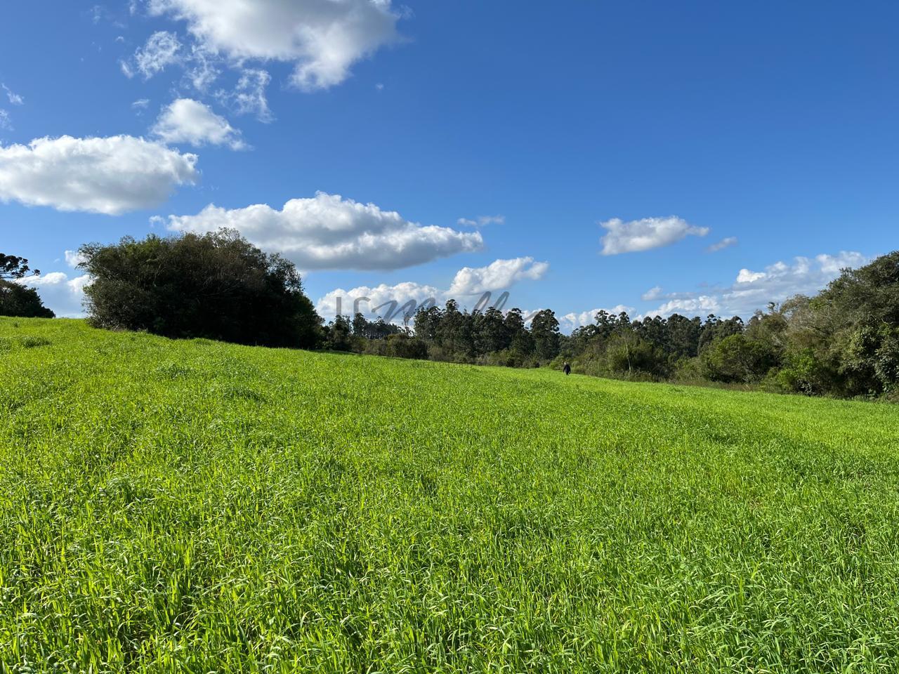 Fazenda à venda, 900m² - Foto 4