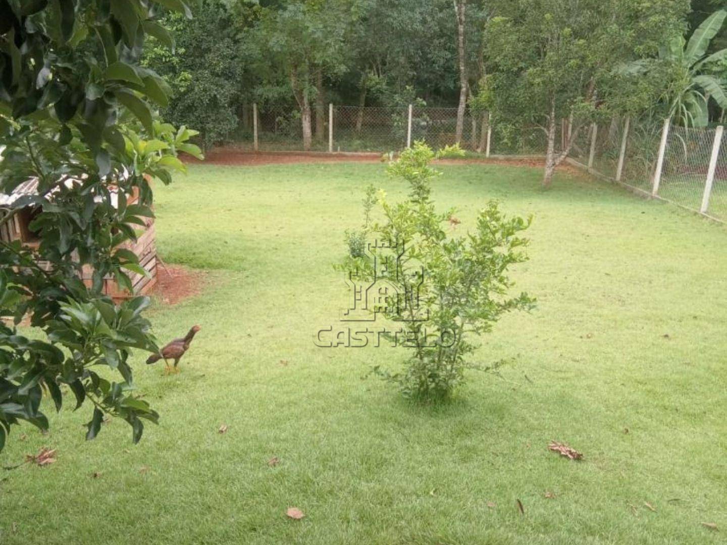 Chácara, 1000 m² - Foto 1