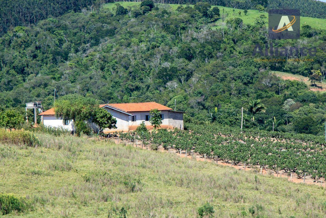 Sítio, 6 hectares - Foto 9