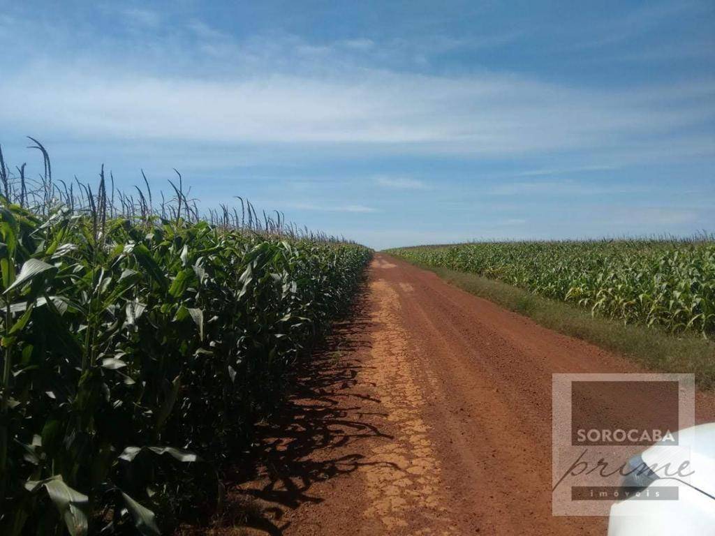 Fazenda, 33000 hectares - Foto 4
