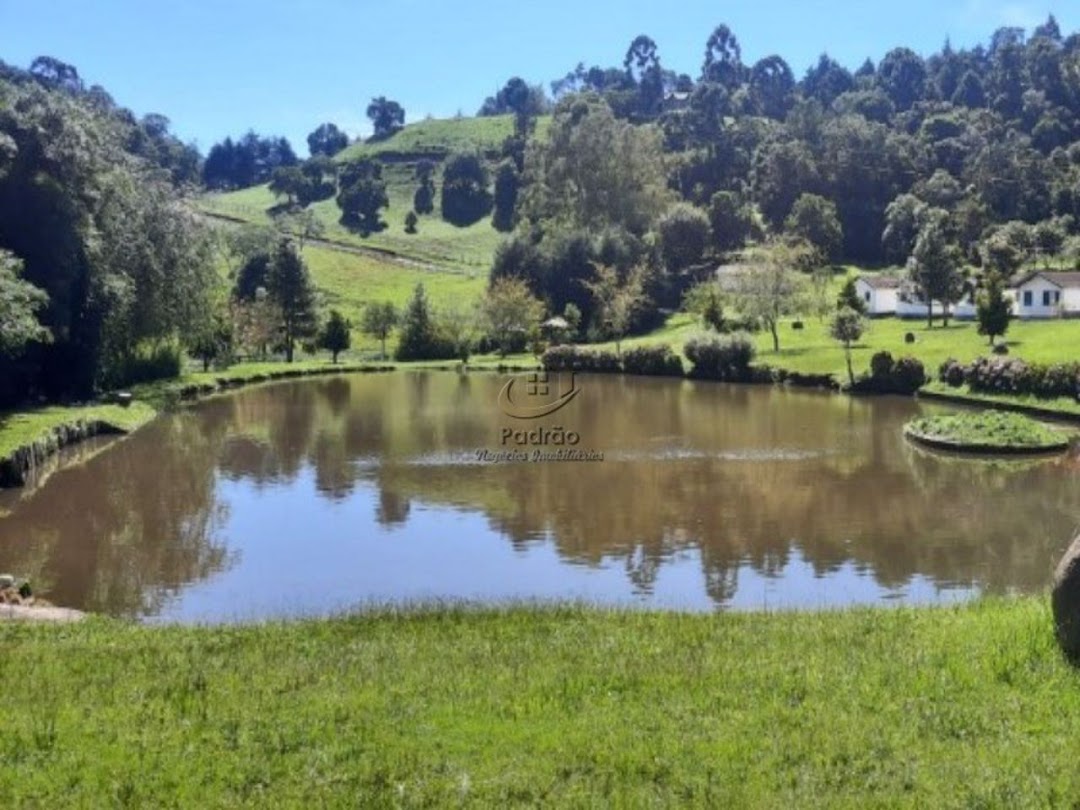 Fazenda à venda com 6 quartos, 1000m² - Foto 25