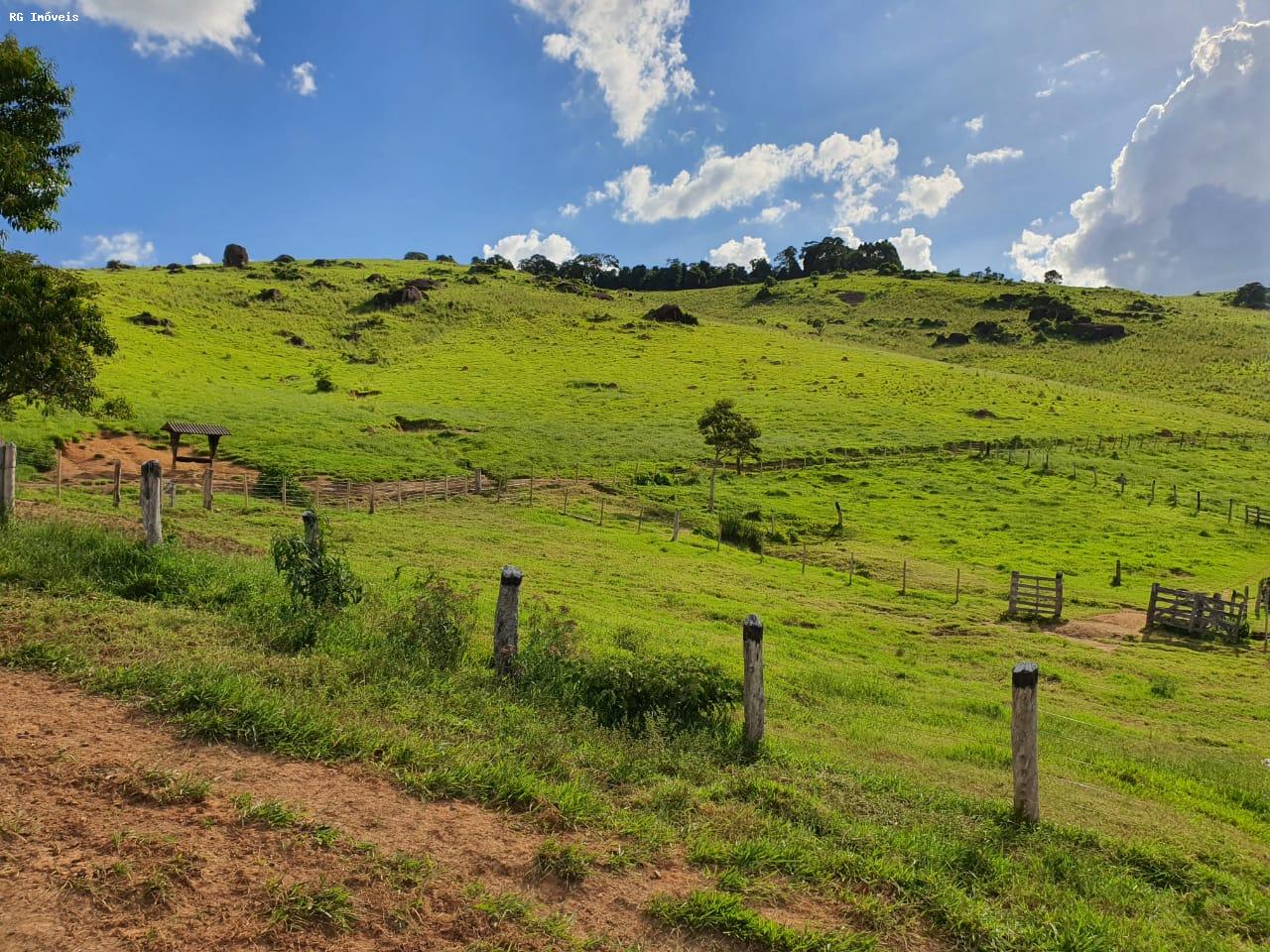 Fazenda à venda com 2 quartos, 220m² - Foto 14