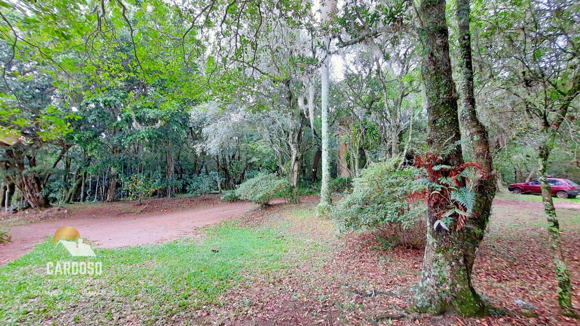 Fazenda à venda, 4620000M2 - Foto 10