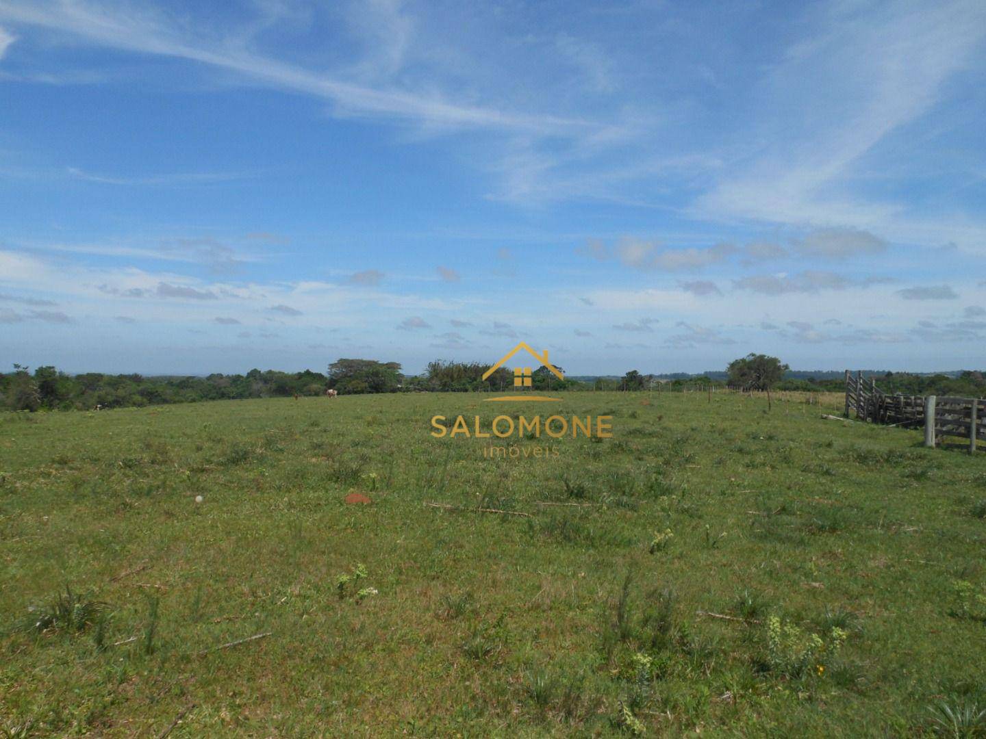 Fazenda, 80 hectares - Foto 2