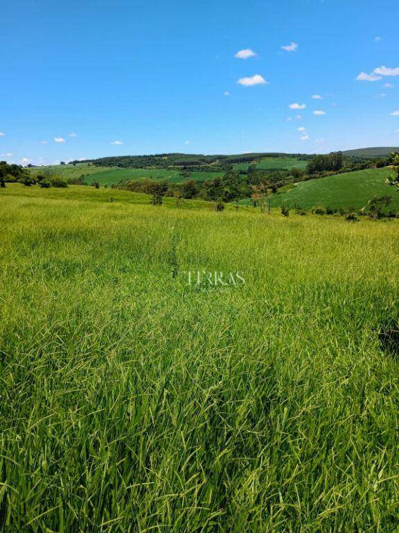 Loteamento e Condomínio, 12 hectares - Foto 7
