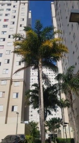 Apartamento à venda com 2 quartos, 45m² - Foto 5