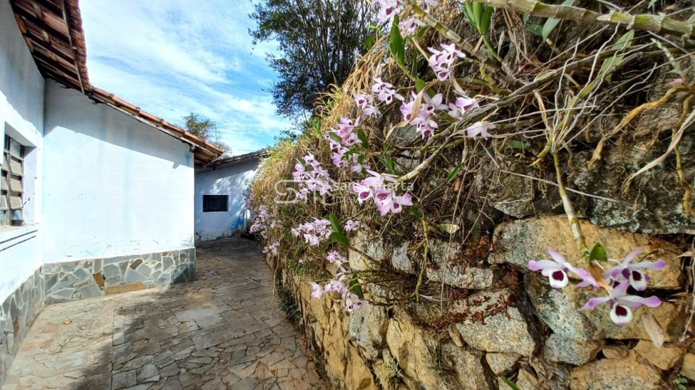 Fazenda à venda com 5 quartos, 17m² - Foto 63