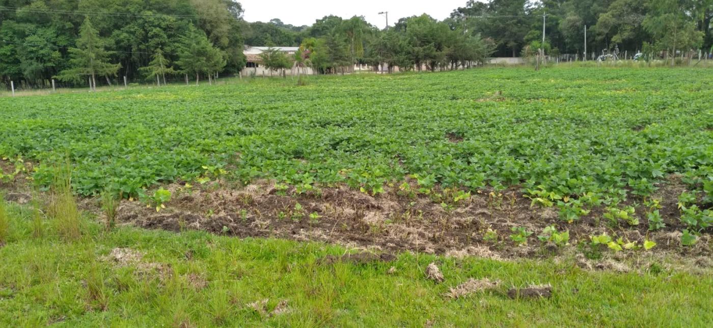 Chácara à venda, 18900m² - Foto 50