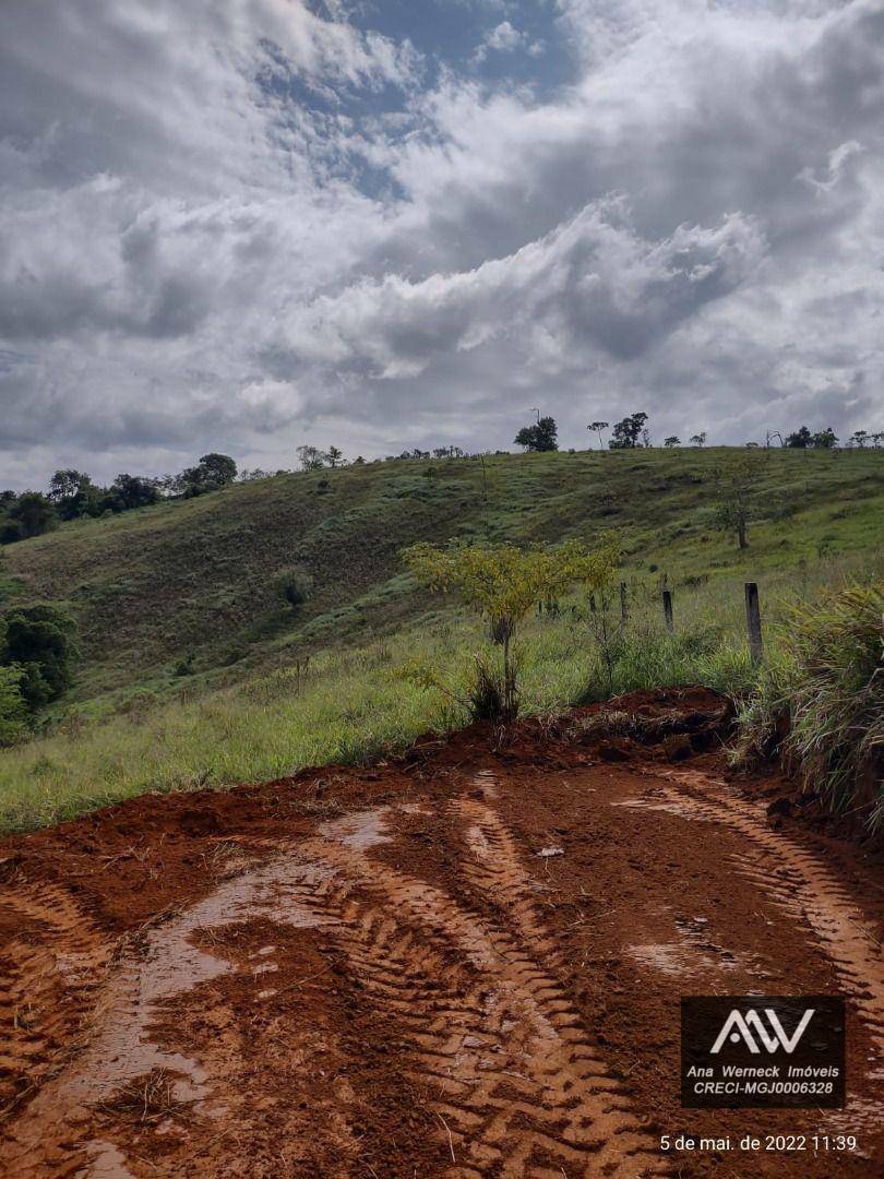 Loteamento e Condomínio à venda, 10000M2 - Foto 3