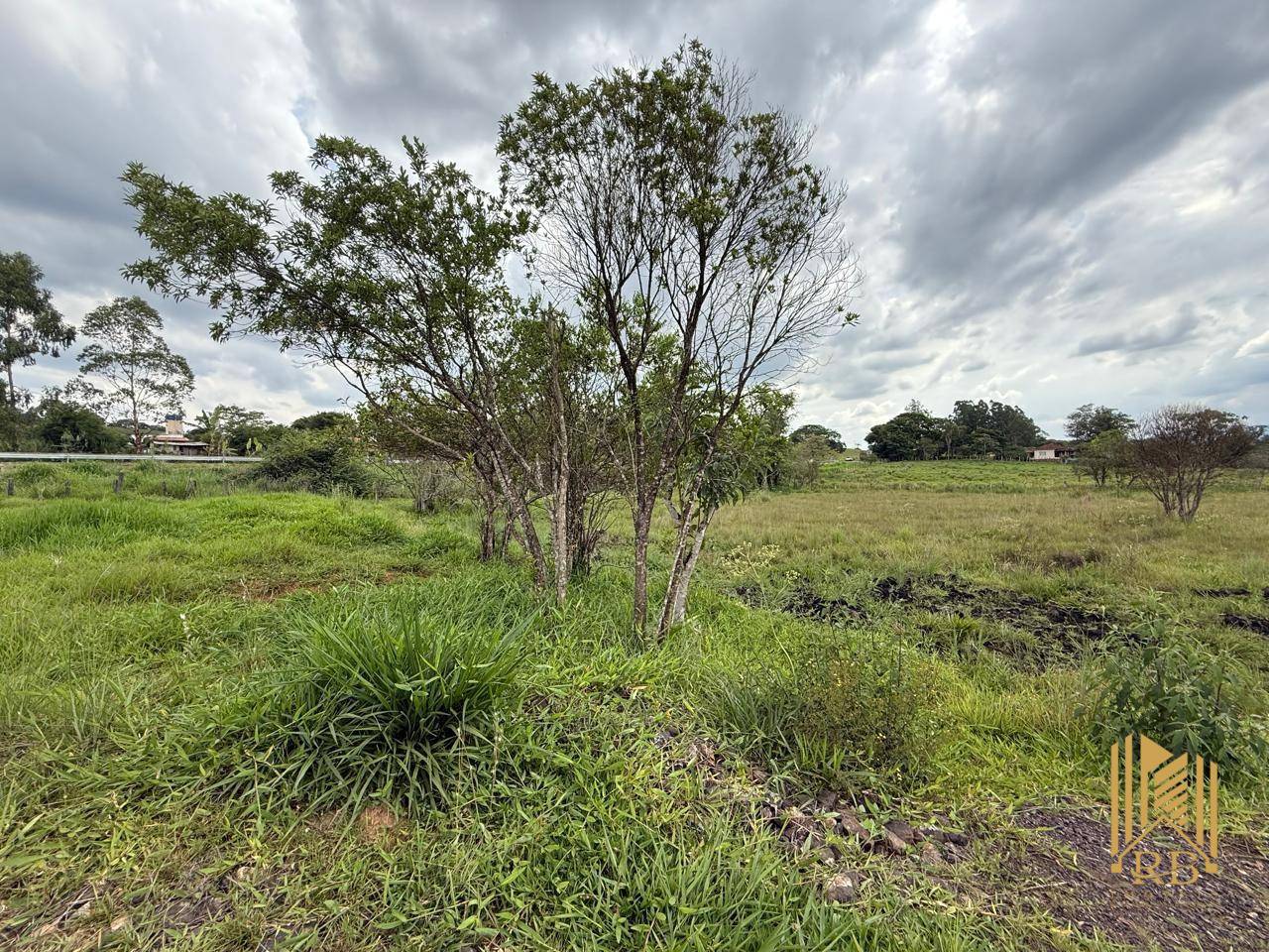 Terreno, 1 hectares - Foto 3