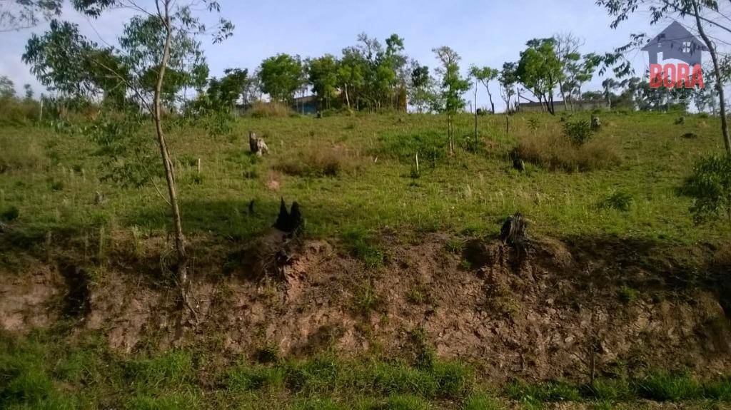 Terreno à venda, 2000M2 - Foto 2