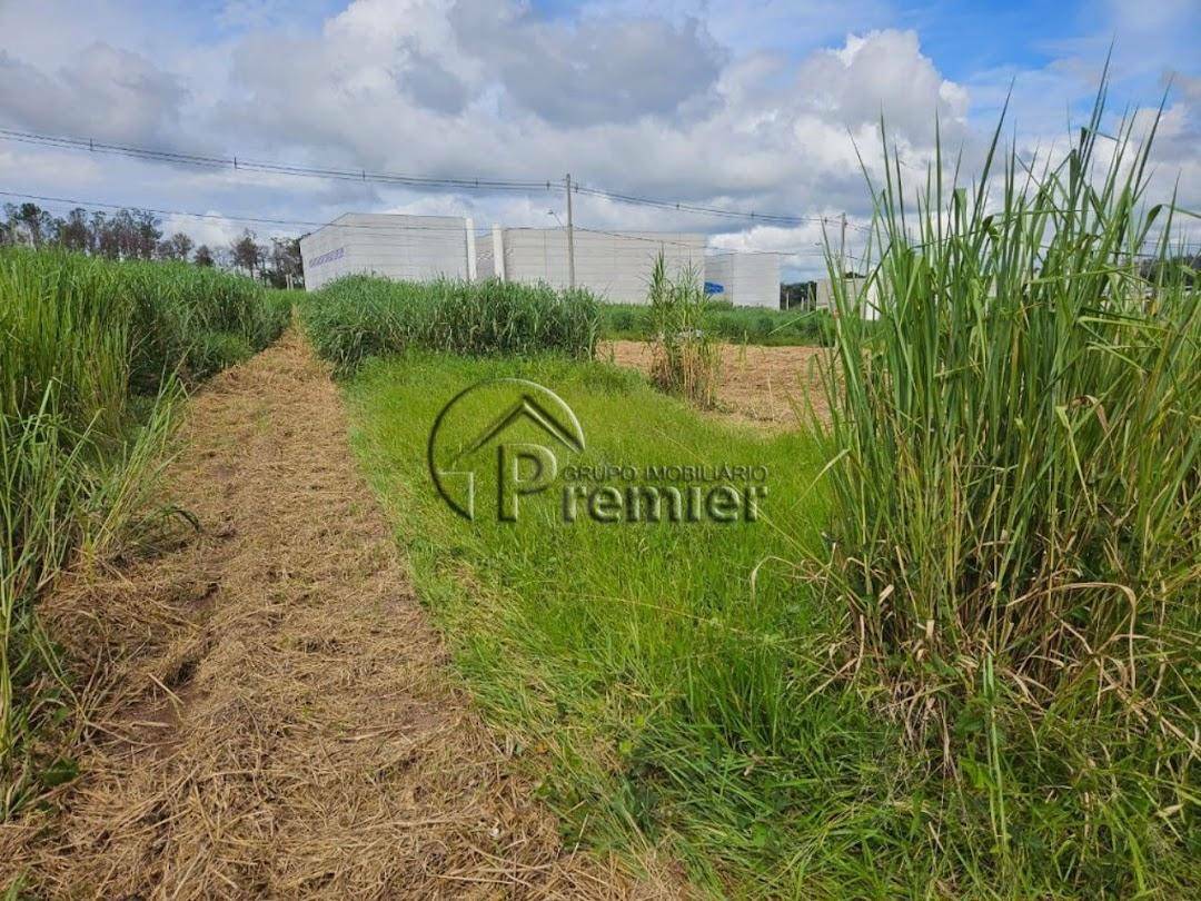 Terreno à venda, 1000M2 - Foto 5