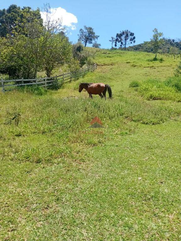 Chácara, 2 quartos, 2 hectares - Foto 4
