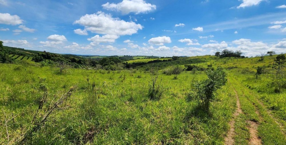 Fazenda à venda, 100m² - Foto 11