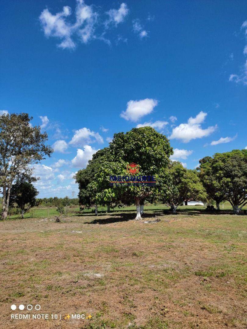 Fazenda à venda, 13837390M2 - Foto 2