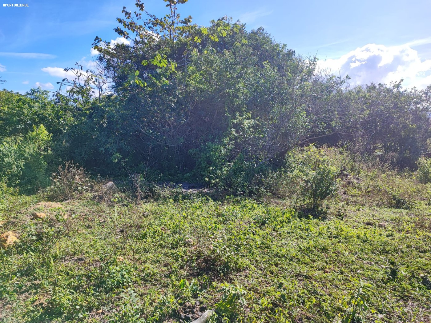 Terreno à venda, 548m² - Foto 5