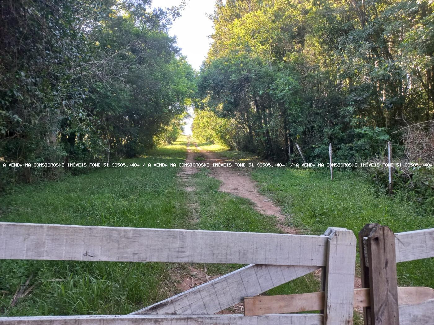 Fazenda à venda com 5 quartos, 20000m² - Foto 15