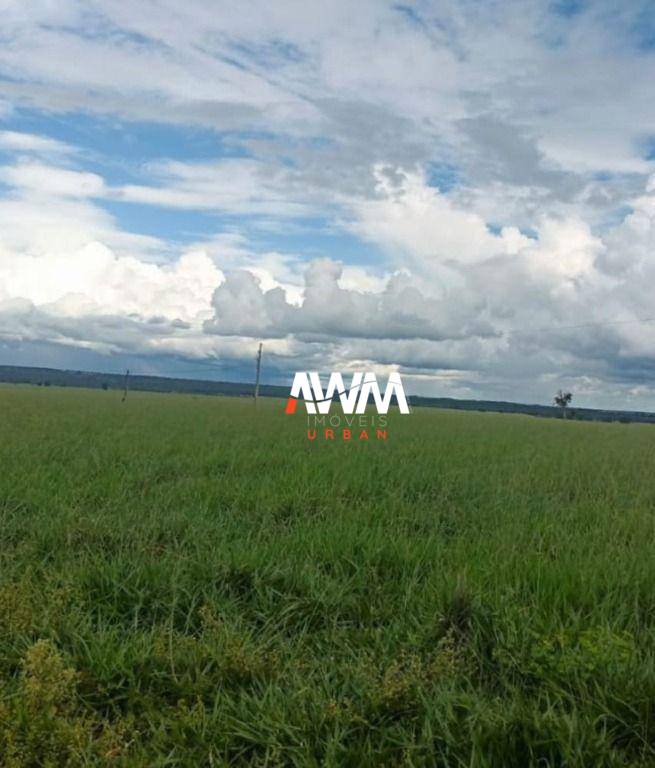 Fazenda, 1239 hectares - Foto 3