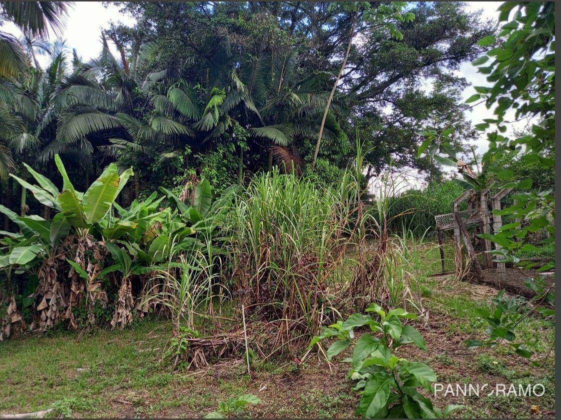 Terreno, 7208 m² - Foto 5