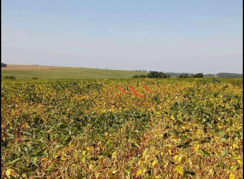 Fazenda à venda, 151734M2 - Foto 2