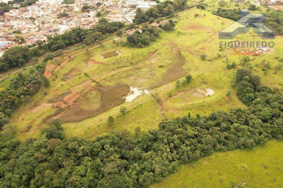 Terreno, 10 hectares - Foto 4