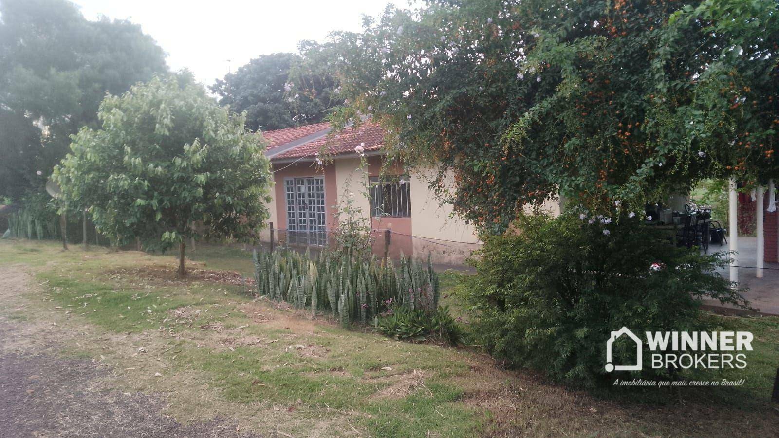 Chácara, 4 hectares - Foto 5