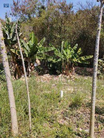 Chácara, 2 quartos, 1212 m² - Foto 8