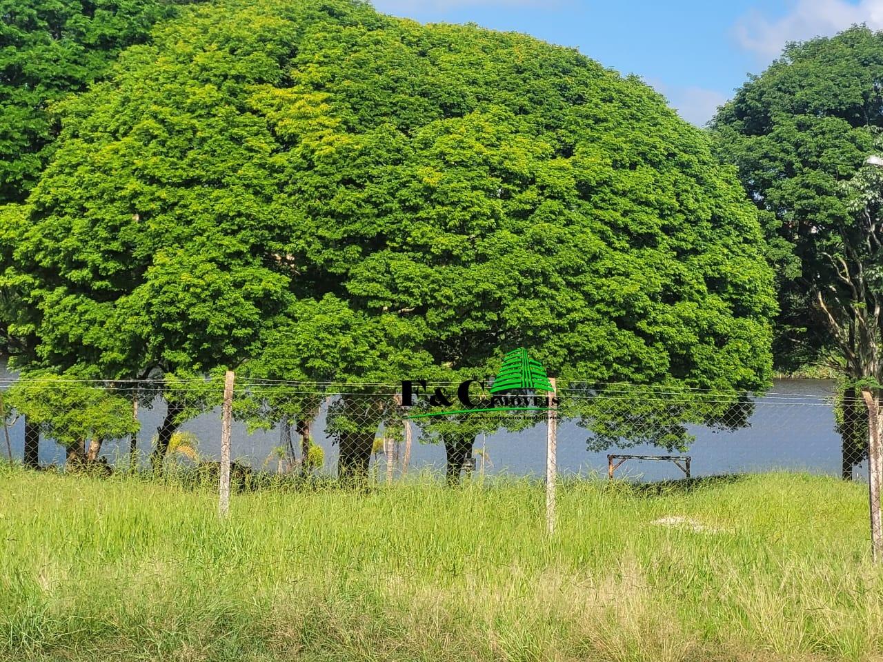Sobrado à venda com 3 quartos, 1030m² - Foto 3